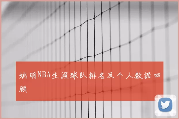 姚明NBA生涯球队排名及个人数据回顾