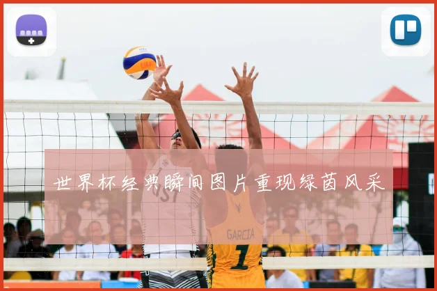 世界杯经典瞬间图片重现绿茵风采