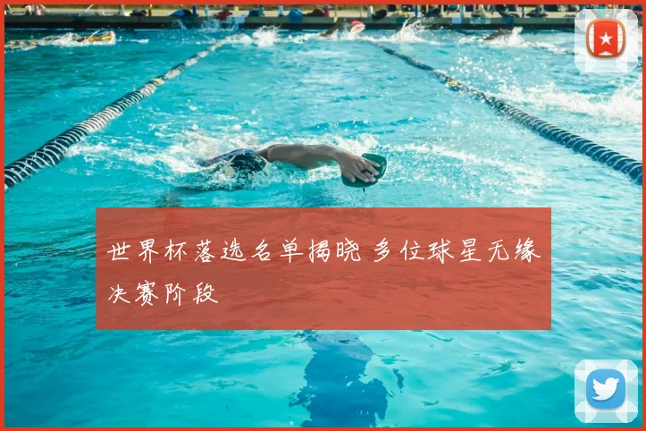 世界杯落选名单揭晓 多位球星无缘决赛阶段