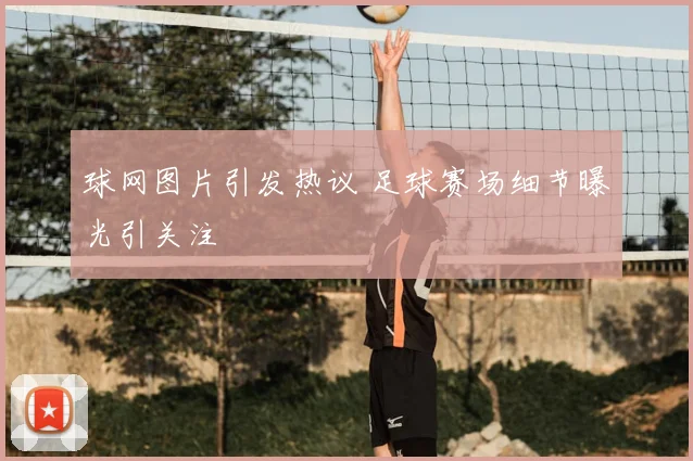 球网图片引发热议 足球赛场细节曝光引关注
