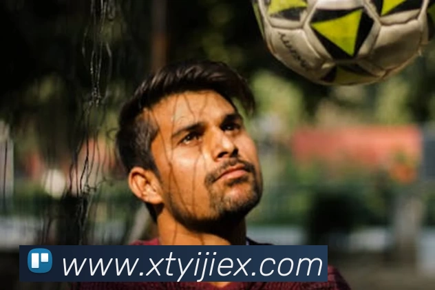 多媒体互动体验